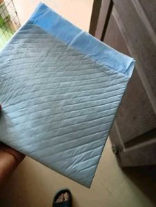 Pads For Pet