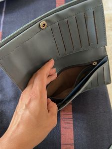Baggit wallet