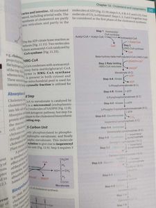 Biochemistry for Medical Students