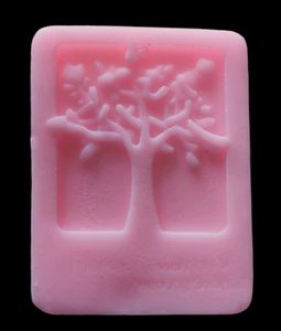 10 Organic Fruit Soaps@Rs500