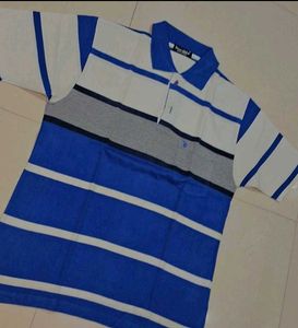 Striped Polo T-Shirt