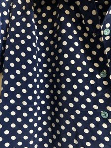 Polka Dot Blouse