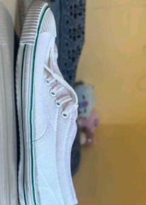 White Canvas Casual Shoes
