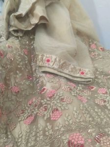 Embroidered Lehenga Choli