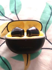 Dubstep Buzz X5 Earbuds