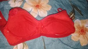 Cotton Padded Bra