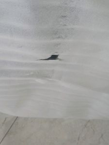 Foam Sheet