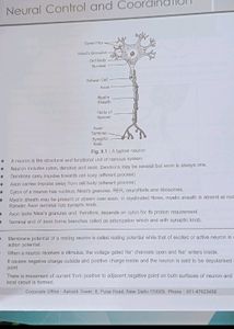 Diagram Book Of Zoology And Botany For Neet