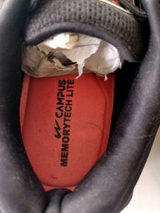 Campus Men Running Shoes