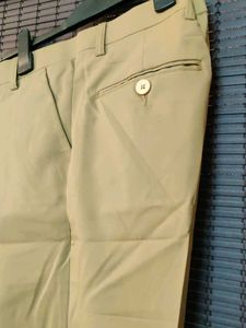 Beige Formal Pants