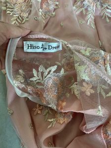 Elegant Ethnic dress