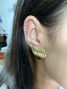 Heart Studded Earring