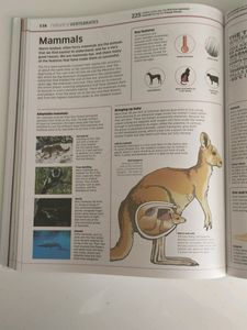 DK&#39;s  Knowledge Encyclopaedia