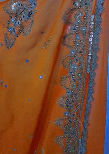 Gorgeous Orange Saree 🧡💫
