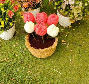 Tulip Pot