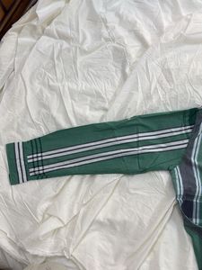 Green Plus Sized Checkered Shirt For Men