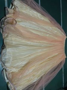 Bollywood Style Crop Top Choli