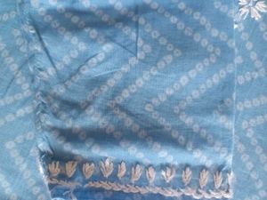 Short Handwork Chikan Kurta