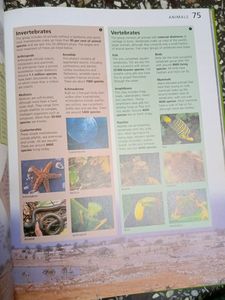 Reader Digest