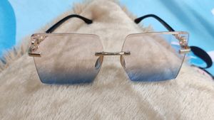 Dual Tone Sunglasses