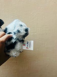 Cute Doggy❤️