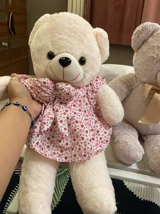 Cute Teddy Bear Duo