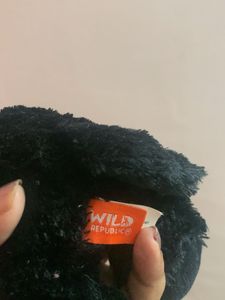 Black Cat Plush Toy