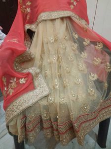 CORAL N GOLDEN NET SAREE