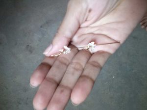 Ear Cuff With Bracelet &Clips