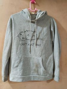 Grey Hoodie From Urbanic