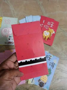 17pcs Money Envelopes (Imported)