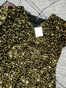 Party Wear Bodycon Dress (New With Tag)