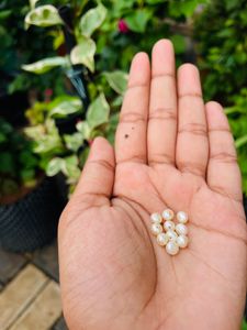 Pearl