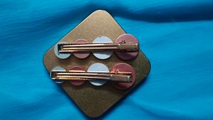 Korean Style Hair Clips