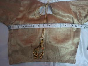 Golden Blouse with Net Sleeves