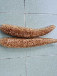 Natural Loofah Sponges (Set of 2)