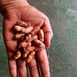 Fruits Seeds @ Low Price