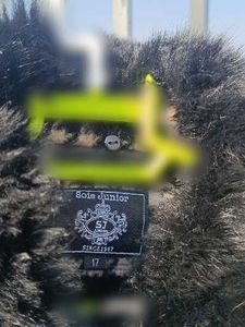 Houndstooth Coat🦓 Faux Fur Collar