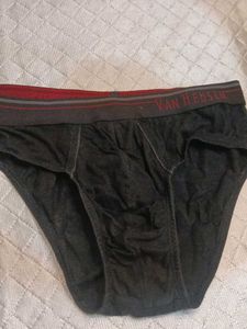 Van Heusen Briefs