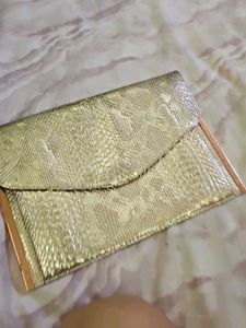 Golden Snakeskin Clutch