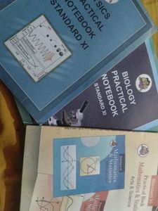 Class XI Practical Notebooks