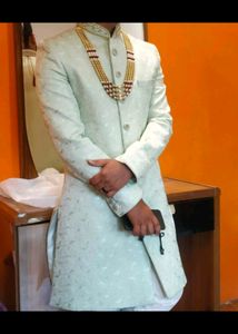 Elegant Sherwani