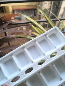 Ice Cube Trays - Set of 2