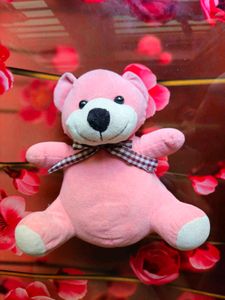 Pink Plush Teddy Bear