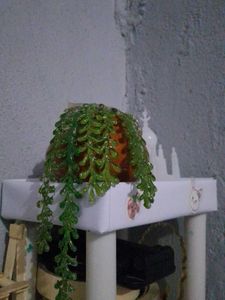 Artificial Succulent Plant