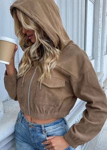 ZARA Women Hooded Crop Tailored Jacket