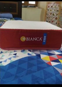 Sofa Cushion 6 Inches Medium Firm