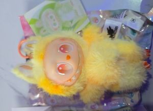 Labubu 🩷🌈✨🌷 Pre-order