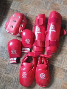 Karate/MMA Sparring Gear Set