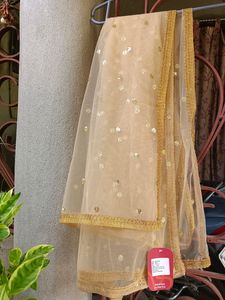 Branded New Gold Toned Embroidered Dupatta💛💛💛